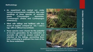 GLOBALSYMPOSIUMONSOILPOLLUTION
Methodology
 An experiment was carried out, under
normal environmental conditions. Was used
seedlings of three species of aromatic
plants (Chrysopogon zizanioides,
Cymbopogon citratus and Cymbopogon
winterianus).
 Filled with tailings and fertilized with four
doses of organic compost (0 , 0.5, 1 and 2
kg), with or without mycorrhizae.
 These species were chosen for the potential
of income generation, for the extraction of
aromatic oils and for erosion control and
retention of the tailings, preventing them
from continuing to sediment the rivers of the
Rio Doce watershed.
Experiment for evaluation of plants with potential for recovery of
degraded areas and production of essential oils
 