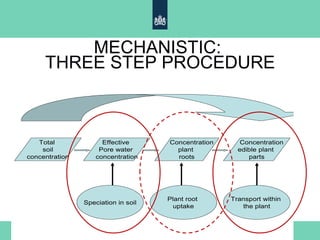MECHANISTIC:
THREE STEP PROCEDURE
Speciation in soil
Effective
Pore water
concentration
Plant root
uptake
Concentration
plant
roots
Transport within
the plant
Concentration
edible plant
parts
Total
soil
concentration
 