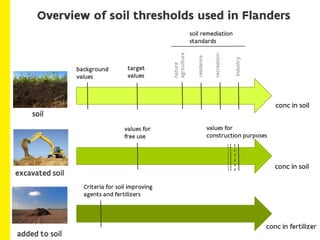 How do soil thresholds function in the policy on contaminated land in Flanders?