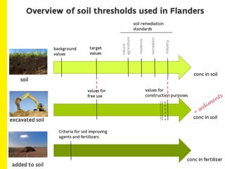 How do soil thresholds function in the policy on contaminated land in Flanders?