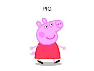 PIG

 