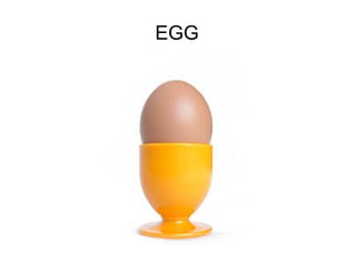 EGG

 
