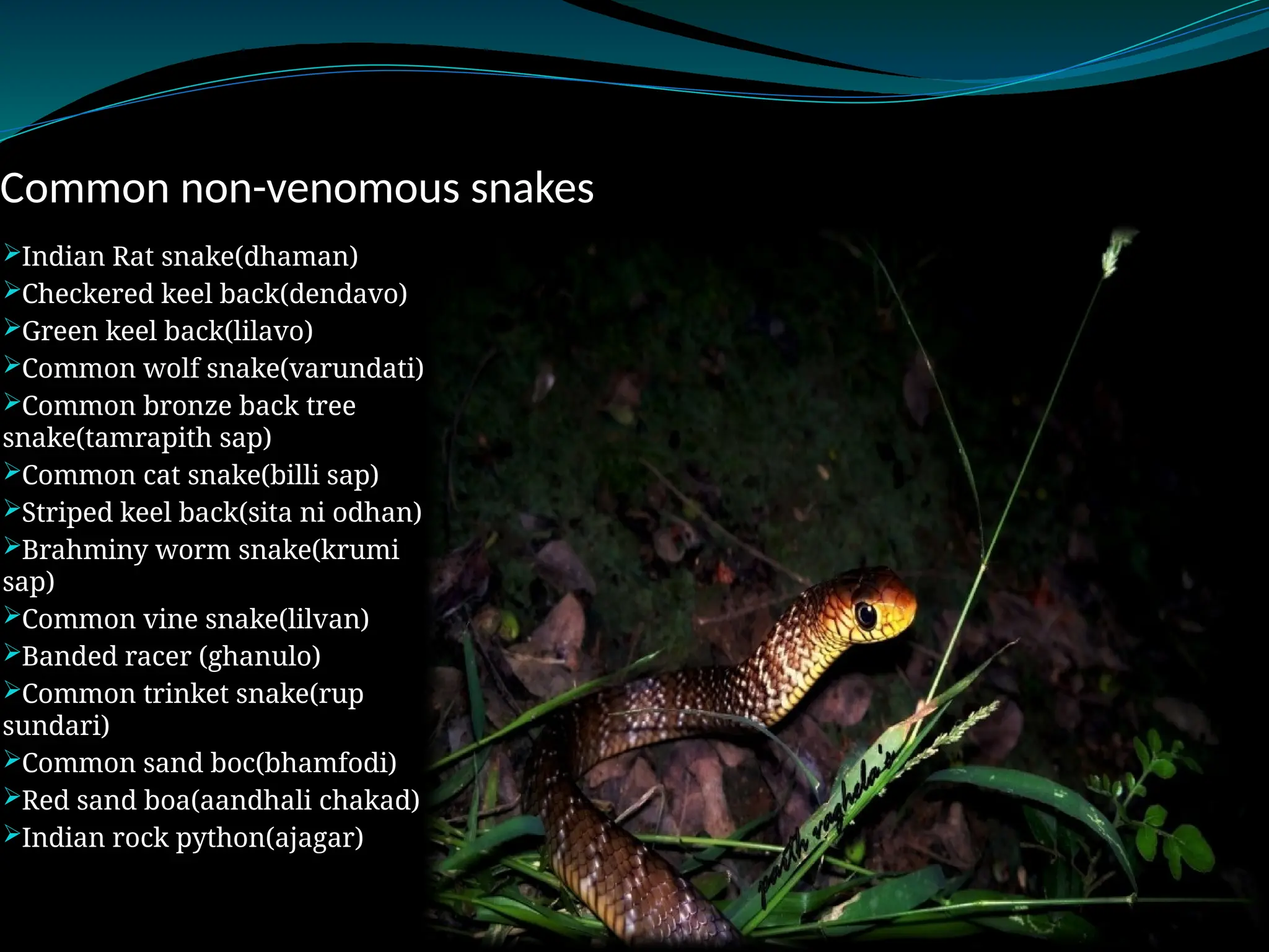 gspcs history and working of the organisation | PPTX