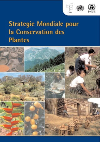 Strategie Mondiale pour
la Conservation des
Plantes
 