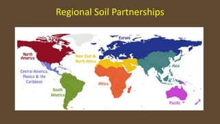 Regional Soil Partnerships
 