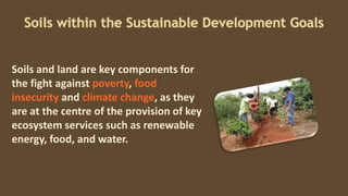 Soils within the Sustainable Development Goals
Soils and land are key components for
the fight against poverty, food
insecurity and climate change, as they
are at the centre of the provision of key
ecosystem services such as renewable
energy, food, and water.
 