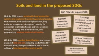 (2.4) By 2030 ensure sustainable food production
systems and implement resilient agricultural practices
that increase productivity and production, help
maintain ecosystems, strengthen capacity for
adaptation to climate change, extreme weather,
drought, flooding and other disasters, and,
progressively improve land and soil quality.
(15.3) by 2020, combat desertification, and restore
degraded land and soil, including land affected by
desertification, drought and floods, and strive to
achieve a land-degradation neutral world
Soils and land in the proposed SDGs
GSP Pillars to support SDG
Harmonization
of methods, measurements
and indicators
 