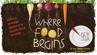 of our food comes
from soils
 