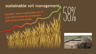 sustainable soil management
 
