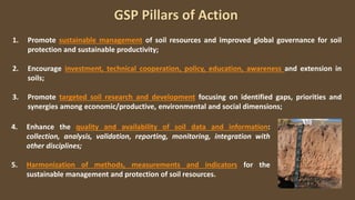 GSP Pillars of Action
1. Promote sustainable management of soil resources and improved global governance for soil
protection and sustainable productivity;
2. Encourage investment, technical cooperation, policy, education, awareness and extension in
soils;
3. Promote targeted soil research and development focusing on identified gaps, priorities and
synergies among economic/productive, environmental and social dimensions;
4. Enhance the quality and availability of soil data and information:
collection, analysis, validation, reporting, monitoring, integration with
other disciplines;
5. Harmonization of methods, measurements and indicators for the
sustainable management and protection of soil resources.
 