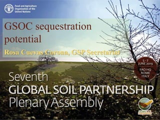 Global soil carbon sequestration potential maps | PPTX