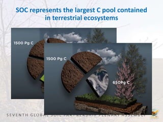 SOC represents the largest C pool contained
in terrestrial ecosystems
 