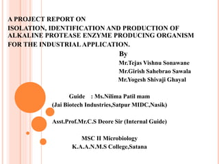 A PROJECT REPORT ON
ISOLATION, IDENTIFICATION AND PRODUCTION OF
ALKALINE PROTEASE ENZYME PRODUCING ORGANISM
FOR THE INDUSTRIALAPPLICATION.
By
Mr.Tejas Vishnu Sonawane
Mr.Girish Sahebrao Sawala
Mr.Yogesh Shivaji Ghayal
Guide : Ms.Nilima Patil mam
(Jai Biotech Industries,Satpur MIDC,Nasik)
Asst.Prof.Mr.C.S Deore Sir (Internal Guide)
MSC II Microbiology
K.A.A.N.M.S College,Satana
 