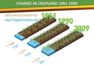 CHANGE IN CROPLAND 1961-2009


                     B
 
