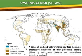 SYSTEMS AT RISK (SOLAW)


                                 B




   - A series of land and water systems now face the risk of
     progressive breakdown of their productive capacity
     (driven by demographic pressure and unsustainable
     agricultural practices).
 