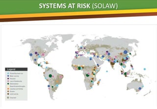 SYSTEMS AT RISK (SOLAW)


                   B
 
