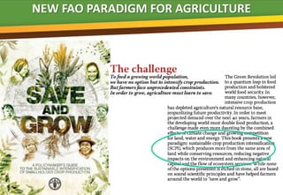 NEW FAO PARADIGM FOR AGRICULTURE


                       B
 
