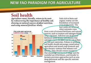 NEW FAO PARADIGM FOR AGRICULTURE


                       B
 
