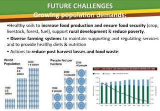 FUTURE CHALLENGES
            Growing population demands:
•Healthy soils to increase food production and ensure food security (crop,
livestock, forest, fuel), support rural development & reduce poverty.
                                                    B
• Diverse farming systems to maintain supporting and regulating services
and to provide healthy diets & nutrition
• Actions to reduce post harvest losses and food waste.
 