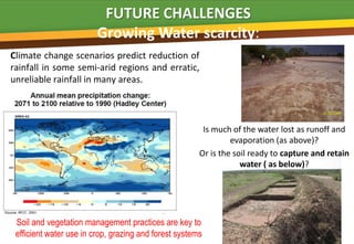 FUTURE CHALLENGES
                         Growing Water scarcity:
Climate change scenarios predict reduction of
rainfall in some semi-arid regions and erratic,
unreliable rainfall in many areas.



                                                        Is much of the water lost as runoff and
                                                                evaporation (as above)?
                                                       Or is the soil ready to capture and retain
                                                                   water ( as below)?




 Soil and vegetation management practices are key to
 efficient water use in crop, grazing and forest systems
 