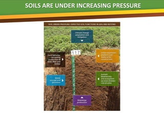 SOILS ARE UNDER INCREASING PRESSURE
 