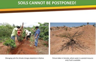 SOILS CANNOT BE POSTPONED!




Managing soils for climate change adaptation in Bolivia   Picture taken in Somalia, where water is a pivotal resource
                                                                             only if soil is available
 
