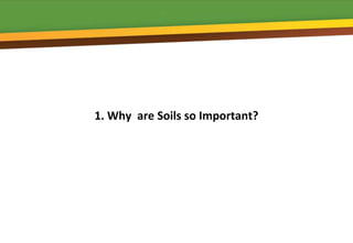 1. Why are Soils so Important?
 