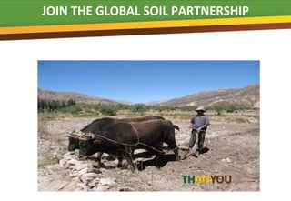 JOIN THE GLOBAL SOIL PARTNERSHIP




                     THANYOU
 