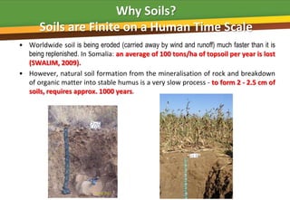 Why Soils?
       Soils are Finite on a Human Time Scale
• Worldwide soil is being eroded (carried away by wind and runoff) much faster than it is
  being replenished. In Somalia: an average of 100 tons/ha of topsoil per year is lost
  (SWALIM, 2009).
• However, natural soil formation from the mineralisation of rock and breakdown
  of organic matter into stable humus is a very slow process - to form 2 - 2.5 cm of
  soils, requires approx. 1000 years.
 