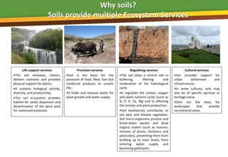 Why soils?
                        Soils provide multiple Ecosystem Services




      Life support services                 Provision services                   Regulating services                  Cultural services
•The soil renewals, retains,        •Soil is the basis for the           •The soil plays a central role in    •Soil provides support for
delivers nutrients and provides     provision of food, fibre, fuel and   buffering,       filtering     and   urban       settlement      and
physical support for plants;        medicinal products to sustain        moderation of the hydrological       infrastructure;
•It sustains biological activity,   life;                                cycle;                               •In some cultures, soils may
diversity, and productivity;        •It holds and releases water for     •It regulates the carbon, oxygen     also be of specific spiritual or
•The soil ecosystem provides        plant growth and water supply.       and plant nutrient cycles (such as   heritage value.
habitat for seeds dispersion and                                         N, P, K, Ca, Mg and S) affecting     •Soils are the basis for
dissemination of the gene pool                                           the climate and plant production;    landscapes      that     provide
for continued evolution.                                                 •Soil biodiversity contributes to    recreational value.
                                                                         soil pest and disease regulation.
                                                                         Soil micro-organisms process and
                                                                         break-down wastes and dead
                                                                         organic matter (such as manure,
                                                                         remains of plants, fertilizers and
                                                                         pesticides), preventing them from
                                                                         building up to toxic levels, from
                                                                         entering water supply and
                                                                         becoming pollutants.
 