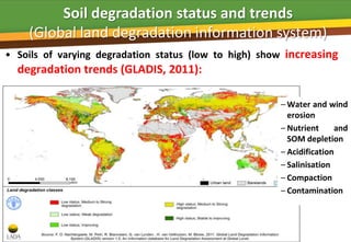 Soil degradation status and trends
    (Global land degradation information system)
• Soils of varying degradation status (low to high) show increasing
  degradation trends (GLADIS, 2011):

                                                       – Water and wind
                                                         erosion
                                                       – Nutrient     and
                                                         SOM depletion
                                                       – Acidification
                                                       – Salinisation
                                                       – Compaction
                                                       – Contamination
 