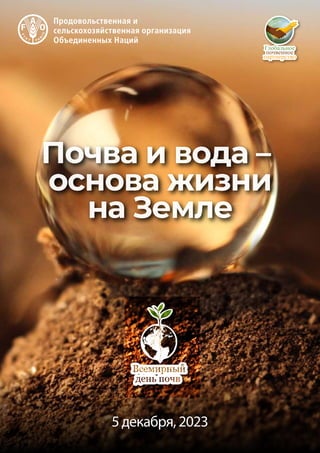 Почва и вода –
основа жизни
на Земле
5 декабря, 2023
Всемирный
день почв
 