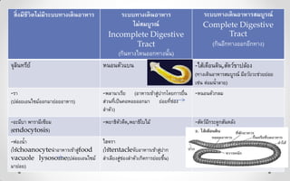 สิ่งมีชีวิตไม่มีระบบทางเดินอาหาร ระบบทางเดินอาหาร
ไม่สมบูรณ์
Incomplete Digestive
Tract
(กินทางไหนออกทางนั้น)
ระบบทางเดินอาหารสมบูรณ์
Complete Digestive
Tract
(กินอีกทางออกอีกทาง)
จุลินทรีย์ หนอนตัวแบน -ไส้เดือนดิน,สัตว์ขาปล้อง
(ทางเดินอาหารสมบูรณ์ มีอวัยวะช่วยย่อย
เช่น ต่อมน้าลาย)
-รา
(ปล่อยเอนไซม์ออกมาย่อยอาหาร)
-พลานาเรีย (อาหารเข้าสู่ปากโดยการยื่น
ส่วนที่เป็นคอหอยออกมา ย่อยที่ช่อง
ลาตัว)
-หนอนตัวกลม
-อะมีบา พารามีเซียม
(endocytosis)
-พยาธิตัวตืด,พยาธิใบไม้ -สัตว์มีกระดูกสันหลัง
-ฟองน้า
(ใช้choanocyteนาอาหารเข้าสู่food
vacuole lysosome(ปล่อยเอนไซม์
มาย่อย)
ไฮดรา
(ใช้tentacleจับอาหารเข้าสู่ปาก
ลาเลียงสู่ช่องลาตัวเกิดการย่อยขึ้น)
 