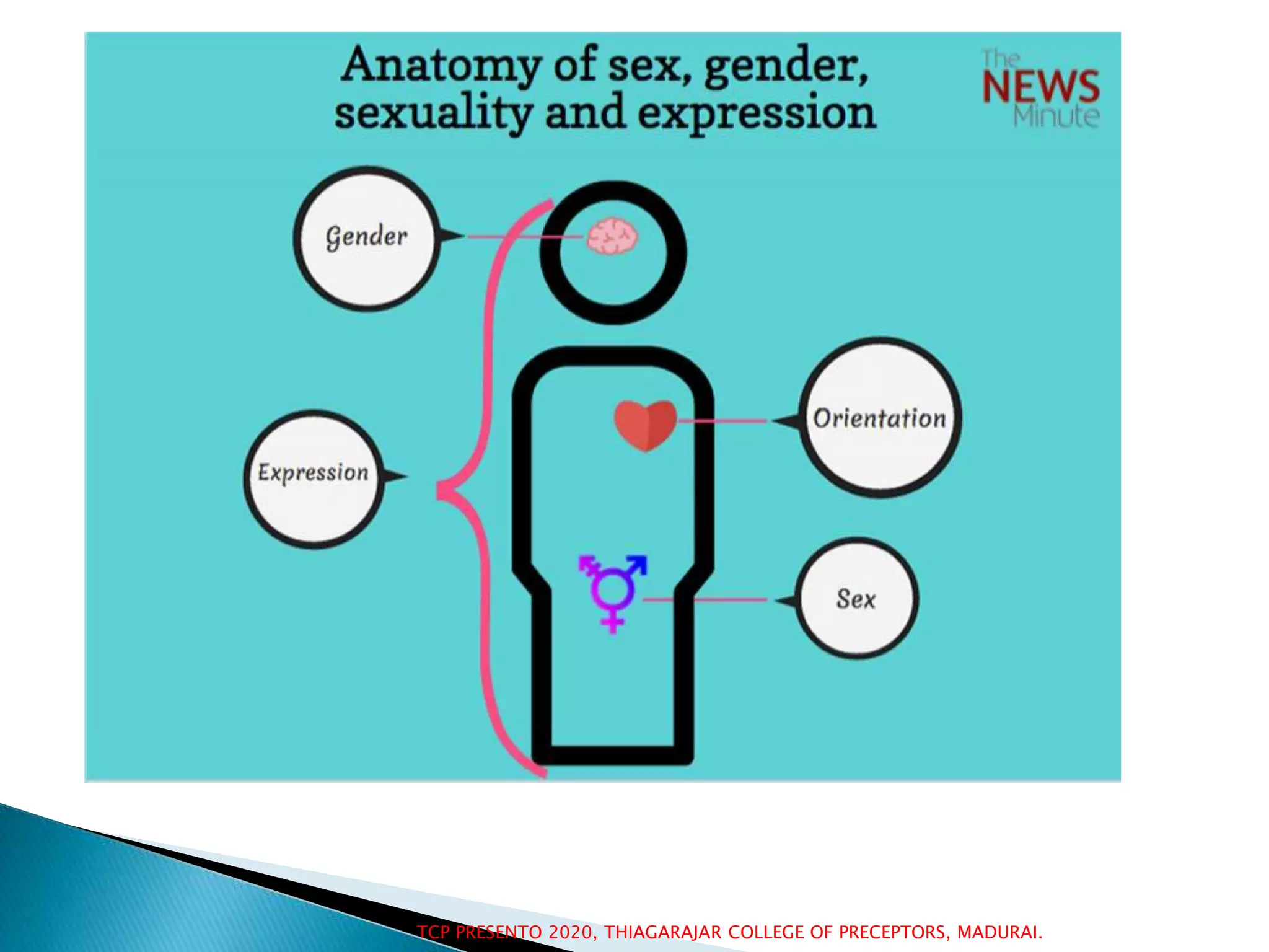 Feminism And Masculinity: Exploring Sex And Gender In Video - 6jlkw0l