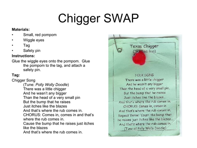 Swaps And Insects Girl Scout SWAPs Guide: Animal & Insect SWAPs | PPT