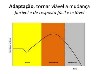 Adaptação, tornar viável a mudança
  flexível e de resposta fácil e estável
 