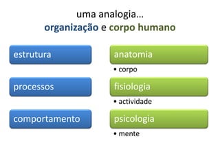 uma analogia…
       organização e corpo humano

estrutura           anatomia
                    • corpo

processos           fisiologia
                    • actividade

comportamento       psicologia
                    • mente
 