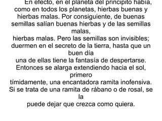 En efecto, en el planeta del principito había, como en todos los planetas, hierbas buenas y hierbas malas. Por consiguiente, de buenas semillas salían buenas hierbas y de las semillas malas, hierbas malas. Pero las semillas son invisibles; duermen en el secreto de la tierra, hasta que un buen día una de ellas tiene la fantasía de despertarse. Entonces se alarga extendiendo hacia el sol, primero tímidamente, una encantadora ramita inofensiva. Si se trata de una ramita de rábano o de rosal, se la puede dejar que crezca como quiera. 