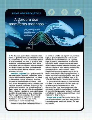 TEVE UM PROJETO?

  A gordura dos
    ´
mamıferos marinhos
                          Corte transversal de fibras
                                 ´
                          de colageno e de
                          elastina dispostas
                                     ˜
                          num padrao
                          entrecruzado




                             Fibras
                             paralelas



             ´                             ˜                                           ˜         ´
˘ Por decadas, os cientistas nao entendiam                     as toninhas a nadar tao rapido? Em primeiro
como os golfinhos conseguem nadar a quase                      lugar, a gordura confere aos animais um
           ˆ                                                                             ˆ
40 quilometros por hora e as toninhas-de-Dall                  formato mais aerodinamico. Em segundo
                 ˆ                       ´   ˜       ˆ
a 56 quilometros por hora, ja que nao tem                      lugar, a gordura entre os lobos da cauda e a
   ´                                                                                       ´
musculos suficientes para isso. Mas esses                      nadadeira dorsal contem uma quantidade
       ´               ˆ                                   ´                                                       ´
mamıferos tem um segredo, e parte dele esta                    especialmente alta de fibras de colageno e de
                                                 ´       ´                                              ˜
em sua complexa gordura, que tambem e                          elastina dispostas num padrao entrecruzado
                                                                                                             `
encontrada sob a pele de baleias e outros                      — uma estrutura que confere a cauda
                                                                                                                         ˆ
animais marinhos.                                              elasticidade e armazena energia mecanica.
                                                                                     ´
   Analise o seguinte: Essa gordura consiste                   Assim, quando os musculos movimentam a
                                                                                                               ˜
de uma camada espessa e densa de tecido                        cauda numa determinada direcao, a gordura   ¸         ´
conjuntivo altamente organizado. Ela cobre                     age como uma mola e ajuda a puxa-la de
praticamente o corpo inteiro do animal e,                      volta, dando impulso e conservando energia.
                                                       ´                          ´
segundo a New World Encyclopedia, “esta                           A gordura tambem ajuda na flutuabilidade
                     `                                                                                ´                ´
bem ligada a musculatura e ao esqueleto por                    e proporciona isolamento termico, alem de
                                 ˜
meio de redes de tendoes e ligamentos de                       armazenar energia para quando falta
     ´                       ˜                                              ˜ ´
altıssima organizacao em formato de leque”.
                           ¸                                   alimento. Nao e de surpreender que esse
                                     ˜                                         ´                         ´
Essas redes, por sua vez, sao compostas por                    composto versatil tenha atraıdo o interesse
               ´               ´               ´                                               ˜
fibras elasticas e colageno, uma proteına que                  de especialistas que estao tentando melhorar
         ´         ´                                                   ˆ                          ˜              ´
tambem e encontrada na pele e nos ossos.                       a eficiencia de embarcacoes marıtimas e seu
                                                   ´                                         ˜ ¸
Assim, a gordura desse tipo de animal e                        mecanismo de propulsao.
muito mais do que uma camada isolante.                                       ˆ                      ´
                                       ˜                          O que voce acha? Sera que a gordura dos
Trata-se de uma combinacao muito   ¸                                 ´
                         ´                                     mamıferos marinhos, com suas propriedades
sofisticada de varios tecidos vivos.                           impressionantes, surgiu por acaso? Ou teve
   Mas como a gordura ajuda os golfinhos e                     um projeto?
 