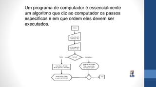 Um programa de computador é essencialmente
um algoritmo que diz ao computador os passos
específicos e em que ordem eles devem ser
executados.
 
