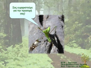 ΢αο επραξηζηνχκε
γηα ηελ πξνζνρή
      ζαο!
 