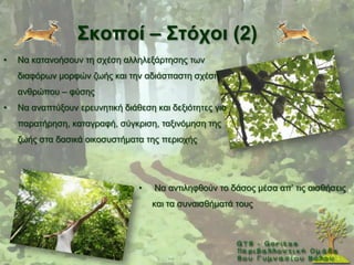 ΢θνπνί – ΢ηόρνη (2)
•   Να θαηαλνήζνπλ ηε ζρέζε αιιειεμάξηεζεο ησλ
    δηαθφξσλ κνξθψλ δσήο θαη ηελ αδηάζπαζηε ζρέζε
    αλζξψπνπ – θχζεο
•   Να αλαπηχμνπλ εξεπλεηηθή δηάζεζε θαη δεμηφηεηεο γηα
    παξαηήξεζε, θαηαγξαθή, ζχγθξηζε, ηαμηλφκεζε ηεο
    δσήο ζηα δαζηθά νηθνζπζηήκαηα ηεο πεξηνρήο




                                 •   Να αληηιεθζνχλ ην δάζνο κέζα απ’ ηηο αηζζήζεηο
                                     θαη ηα ζπλαηζζήκαηά ηνπο
 