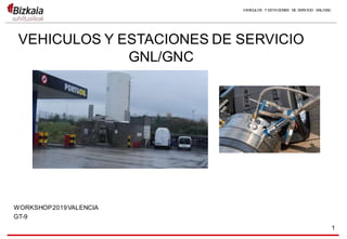 VEHICULOS Y ESTACIONES DE SERVICIO
GNL/GNC
WORKSHOP2019VALENCIA
GT-9
VEHICULOS Y ESTACIONES DE SERVICIO GNL/GNC
1
 