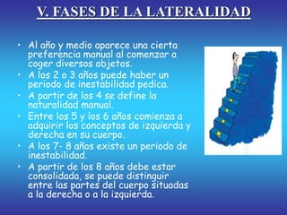 V. FASES DE LA LATERALIDAD
• Al año y medio aparece una cierta
preferencia manual al comenzar a
coger diversos objetos.
• A los 2 o 3 años puede haber un
periodo de inestabilidad pedica.
• A partir de los 4 se define la
naturalidad manual.
• Entre los 5 y los 6 años comienza a
adquirir los conceptos de izquierda y
derecha en su cuerpo.
• A los 7- 8 años existe un periodo de
inestabilidad.
• A partir de los 8 años debe estar
consolidada, se puede distinguir
entre las partes del cuerpo situadas
a la derecha o a la izquierda.
 