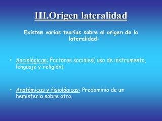 III.Origen lateralidad
Existen varias teorías sobre el origen de la
lateralidad:
• Sociológicas: Factores sociales( uso de instrumento,
lenguaje y religión).
• Anatómicas y fisiológicas: Predominio de un
hemisferio sobre otro.
 