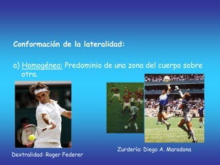 Conformación de la lateralidad:
a) Homogénea: Predominio de una zona del cuerpo sobre
otra.
Dextralidad: Roger Federer
Zurdería: Diego A. Maradona
 