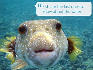 Fish are the last ones to
know about the water“
 