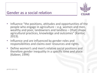 gender.cgiar.org
Gender as a social relation
• Influence “the positions, attitudes and opportunities of the
people who engage in agriculture – e.g. women and men,
wealthy and poor, landowners and landless – (that) shape
agricultural practices, knowledge and outcomes” (Kantor,
2013).
• Influence and are influenced by gender roles and
responsibilities and claims over resources and rights.
• Define women’s and men’s relative social positions and
therefore gender inequality in a specific time and place
(Kabeer, 1994)
12
 