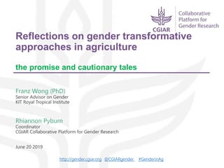 Reflections on gender transformative approaches in agriculture – The promise and cautionary tales