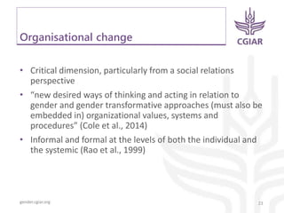 Reflections on gender transformative approaches in agriculture – The promise and cautionary tales